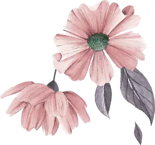 decor image