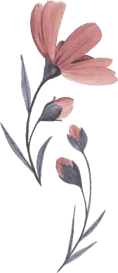 decor image